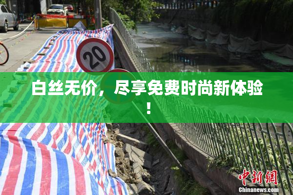 白丝无价，尽享免费时尚新体验！