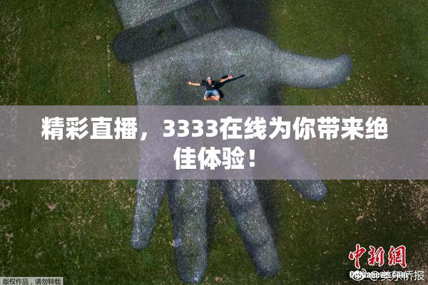 精彩直播，3333在线为你带来绝佳体验！