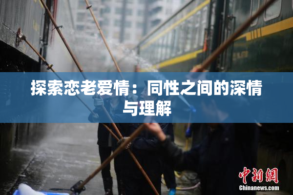 探索恋老爱情：同性之间的深情与理解