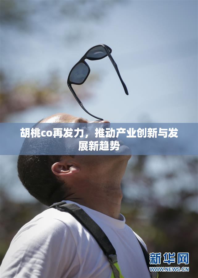 胡桃co再发力，推动产业创新与发展新趋势