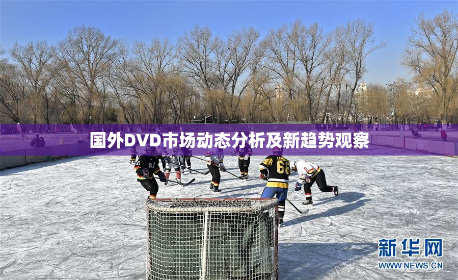 国外DVD市场动态分析及新趋势观察