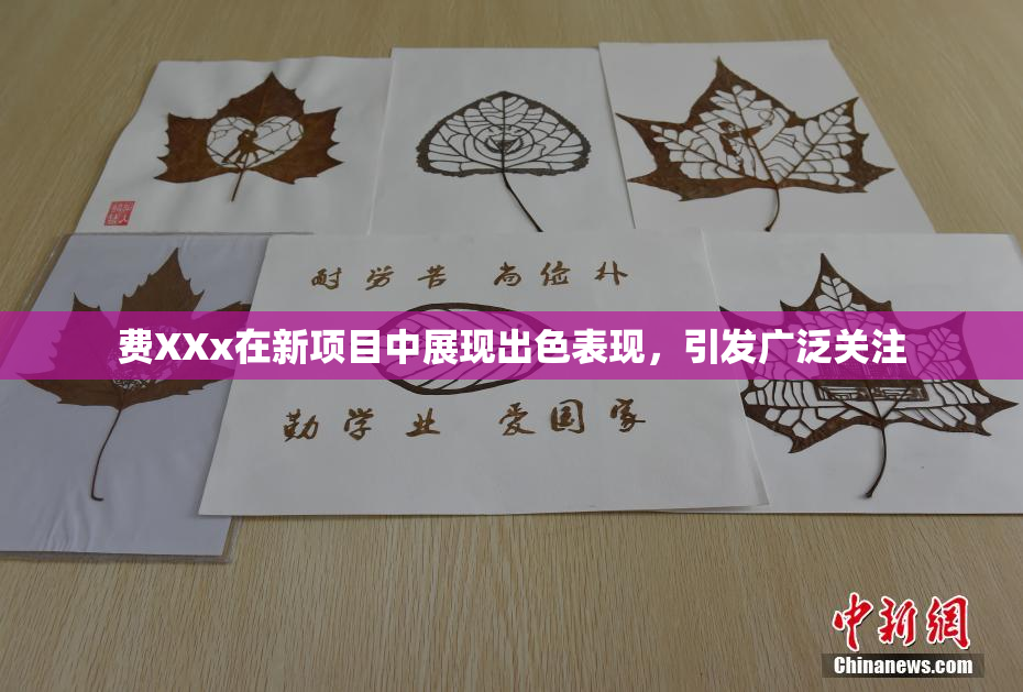 费XXx在新项目中展现出色表现，引发广泛关注
