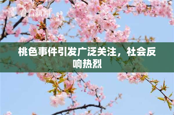 桃色事件引发广泛关注，社会反响热烈