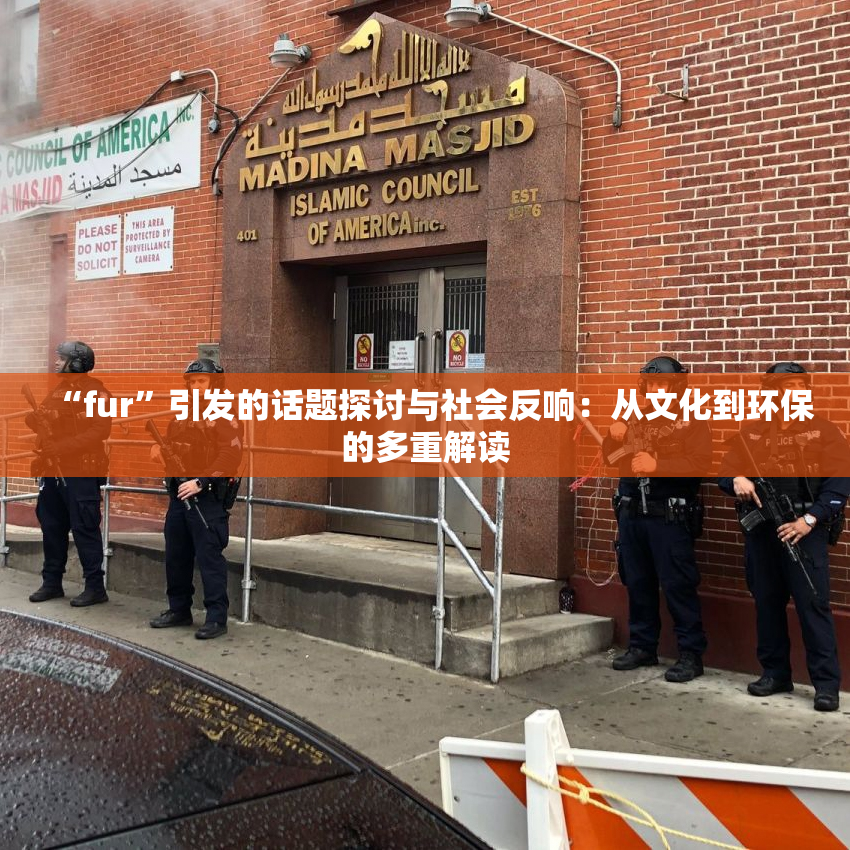 “fur”引发的话题探讨与社会反响：从文化到环保的多重解读
