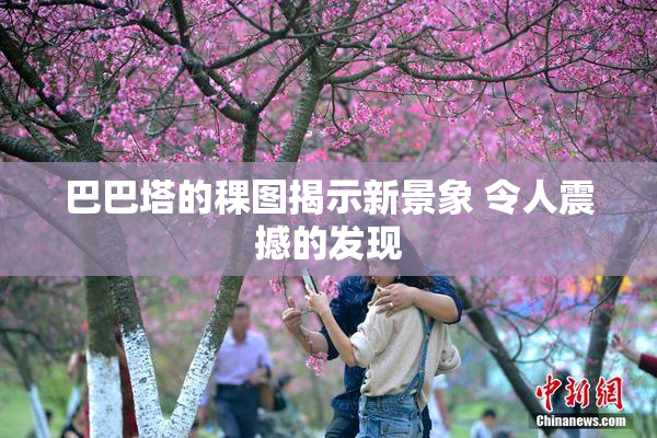 巴巴塔的稞图揭示新景象 令人震撼的发现