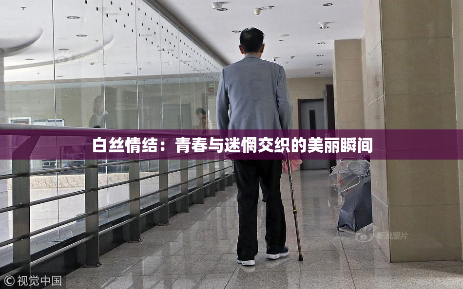 白丝情结：青春与迷惘交织的美丽瞬间