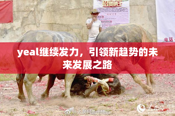 yeal继续发力，引领新趋势的未来发展之路