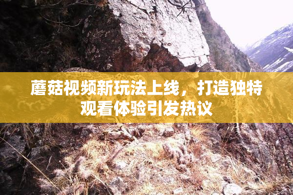 蘑菇视频新玩法上线，打造独特观看体验引发热议