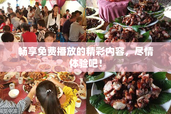 畅享免费播放的精彩内容，尽情体验吧！