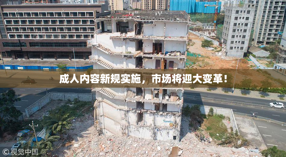 成人内容新规实施，市场将迎大变革！