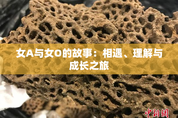 女A与女O的故事：相遇、理解与成长之旅