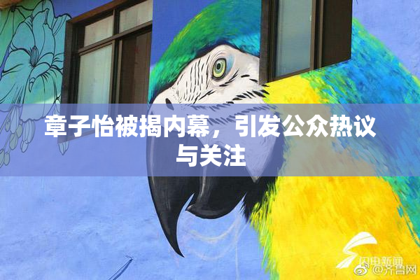 章子怡被揭内幕，引发公众热议与关注