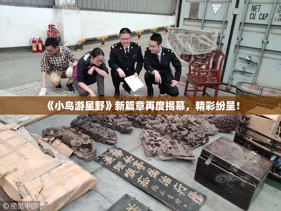 《小鸟游星野》新篇章再度揭幕，精彩纷呈！
