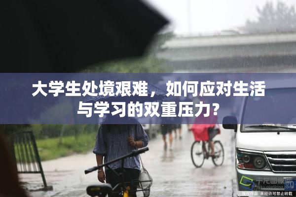 大学生处境艰难，如何应对生活与学习的双重压力？