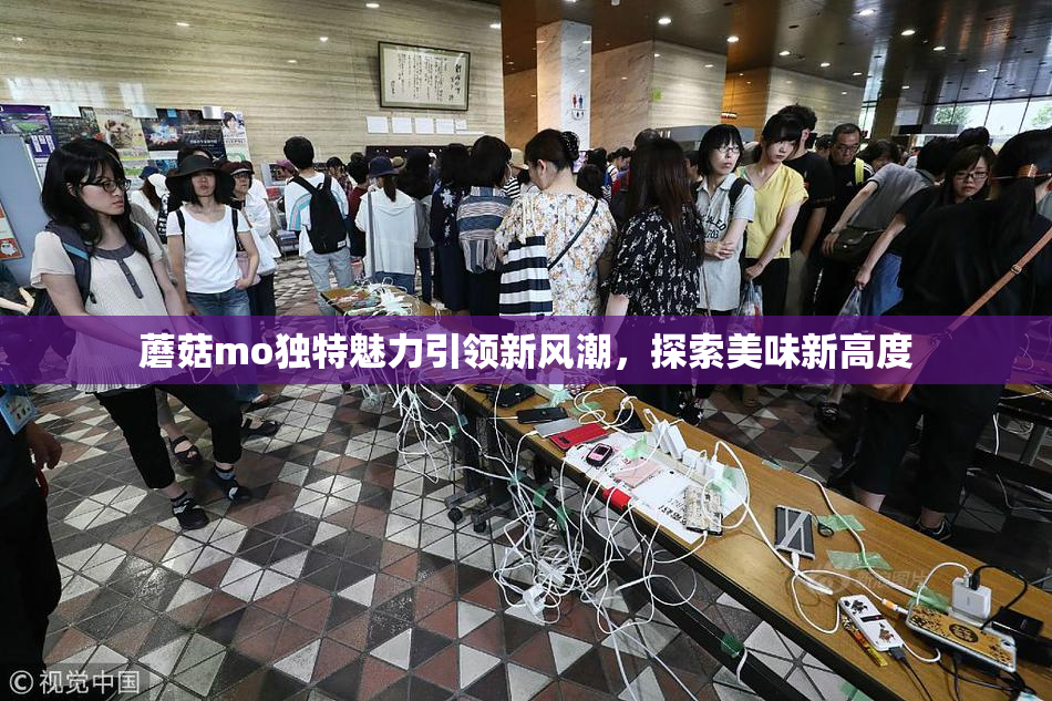 蘑菇mo独特魅力引领新风潮，探索美味新高度