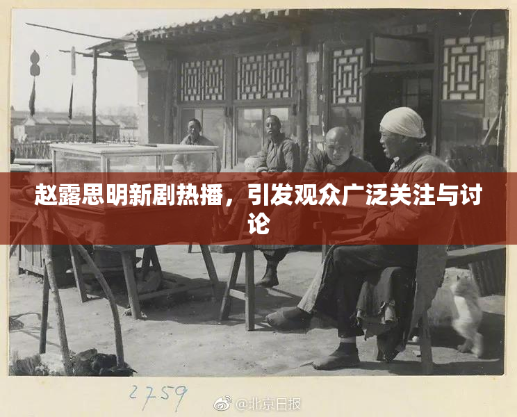 赵露思明新剧热播，引发观众广泛关注与讨论