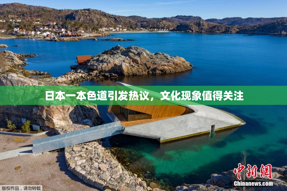 日本一本色道引发热议，文化现象值得关注