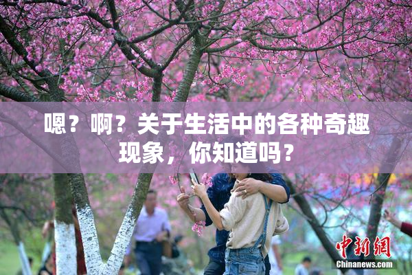 嗯？啊？关于生活中的各种奇趣现象，你知道吗？