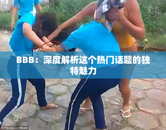 BBB：深度解析这个热门话题的独特魅力