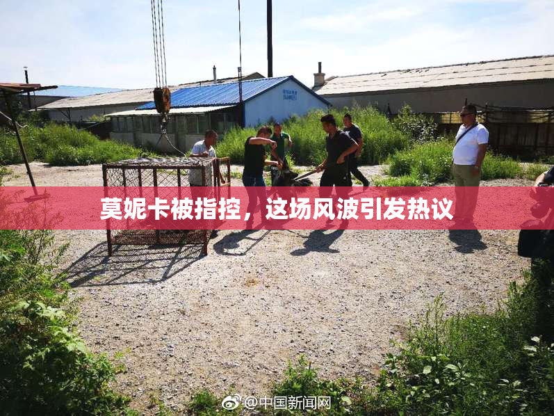 莫妮卡被指控，这场风波引发热议