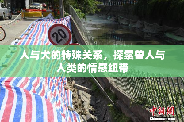 人与犬的特殊关系，探索兽人与人类的情感纽带