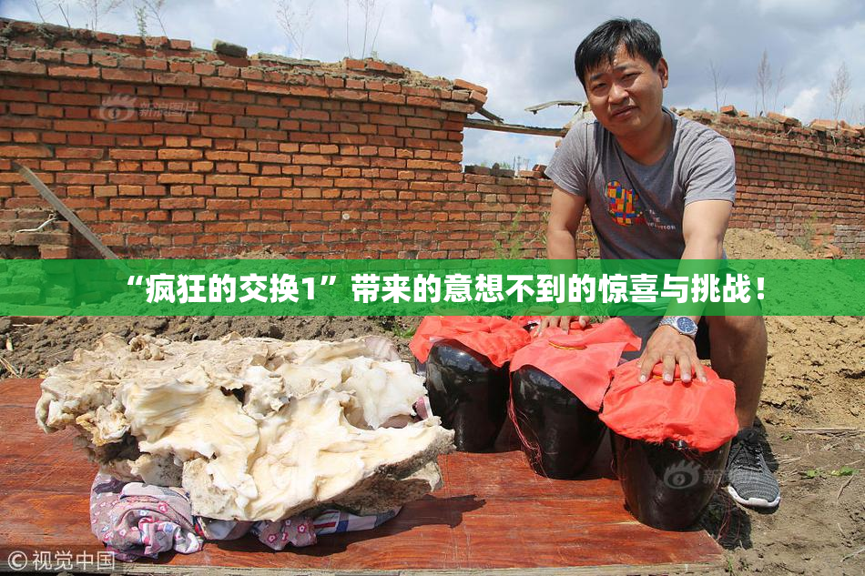 “疯狂的交换1”带来的意想不到的惊喜与挑战！