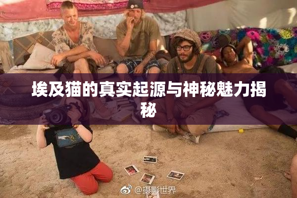 埃及猫的真实起源与神秘魅力揭秘
