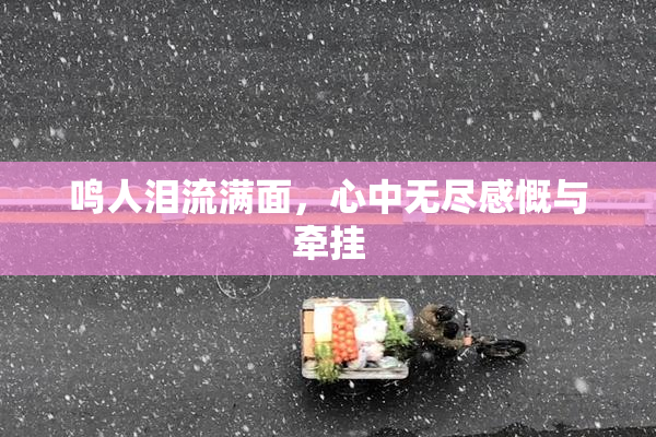 鸣人泪流满面，心中无尽感慨与牵挂