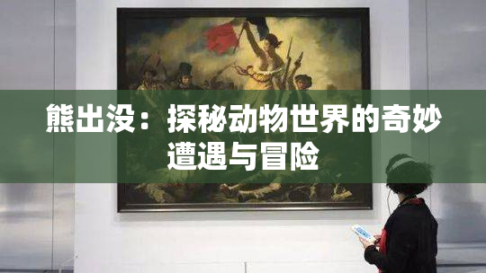 熊出没：探秘动物世界的奇妙遭遇与冒险