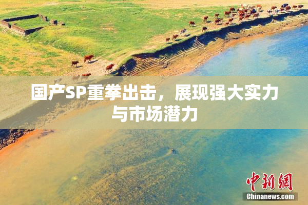 国产SP重拳出击，展现强大实力与市场潜力