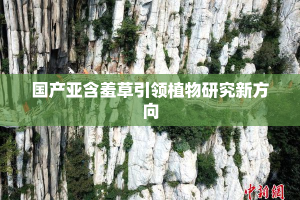 国产亚含羞草引领植物研究新方向