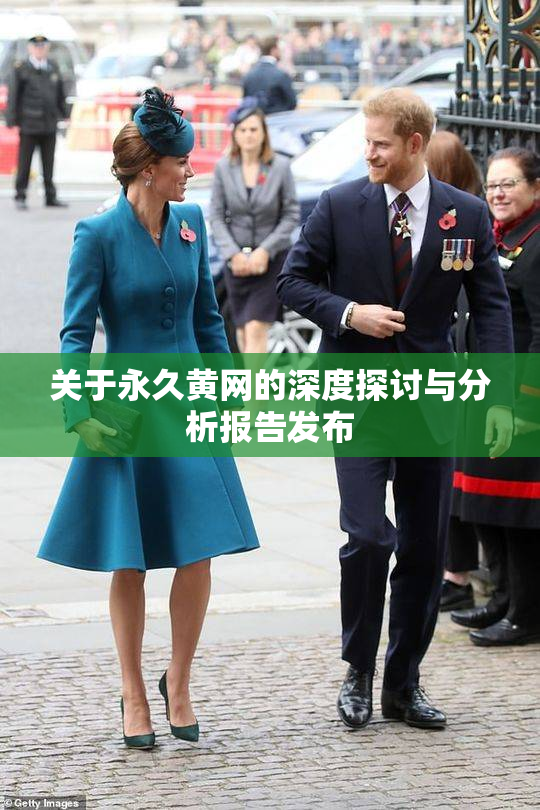 关于永久黄网的深度探讨与分析报告发布