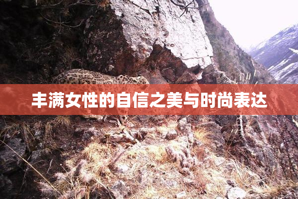 丰满女性的自信之美与时尚表达