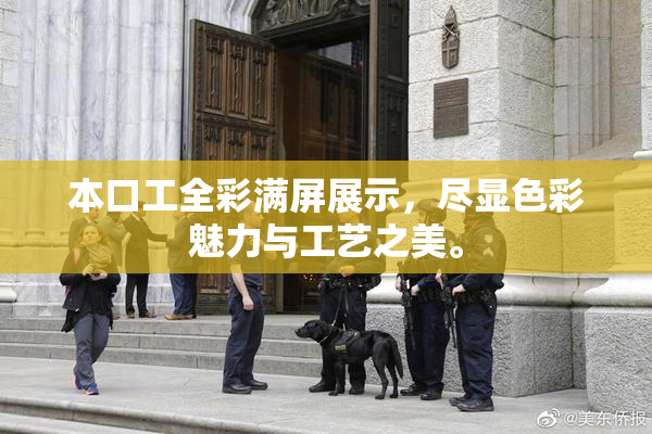 本口工全彩满屏展示，尽显色彩魅力与工艺之美。