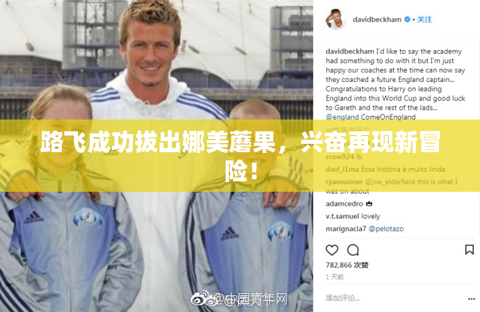 路飞成功拔出娜美蘑果，兴奋再现新冒险！