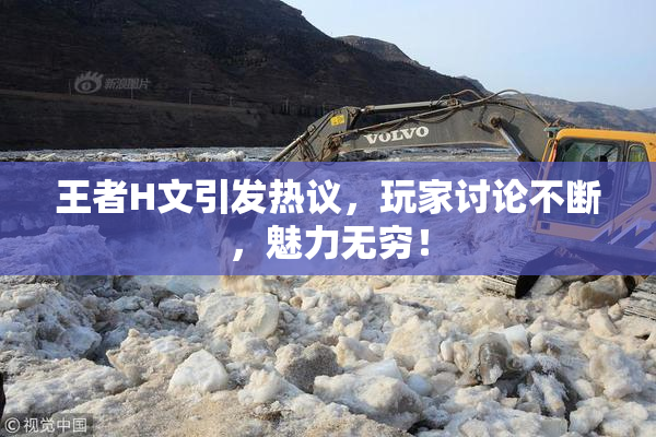 王者H文引发热议，玩家讨论不断，魅力无穷！