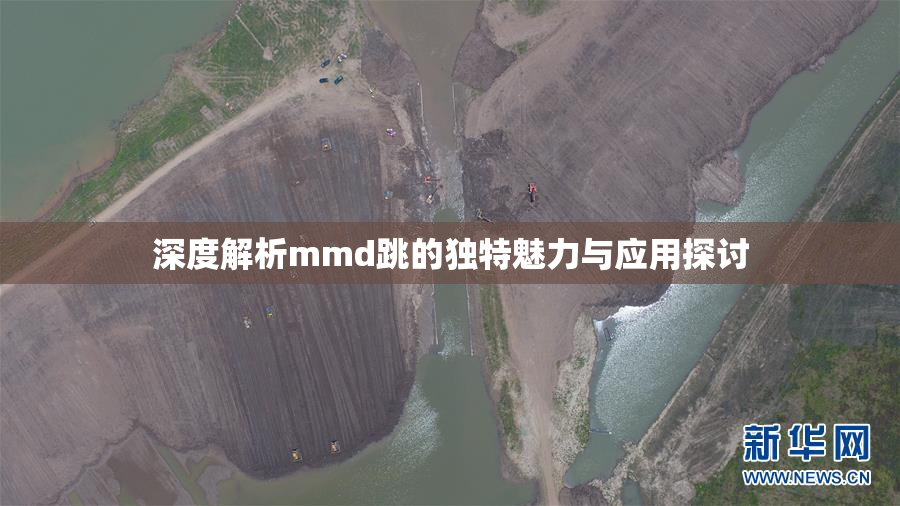 深度解析mmd跳的独特魅力与应用探讨