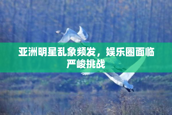 亚洲明星乱象频发，娱乐圈面临严峻挑战