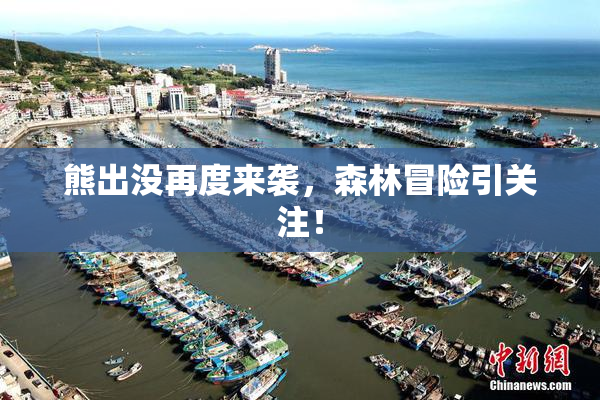 熊出没再度来袭，森林冒险引关注！