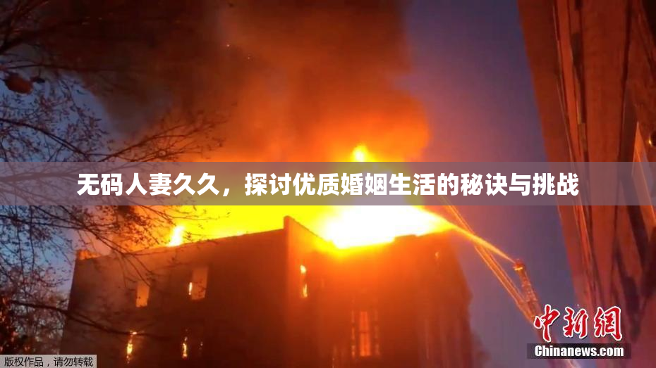 无码人妻久久，探讨优质婚姻生活的秘诀与挑战