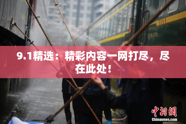 9.1精选：精彩内容一网打尽，尽在此处！