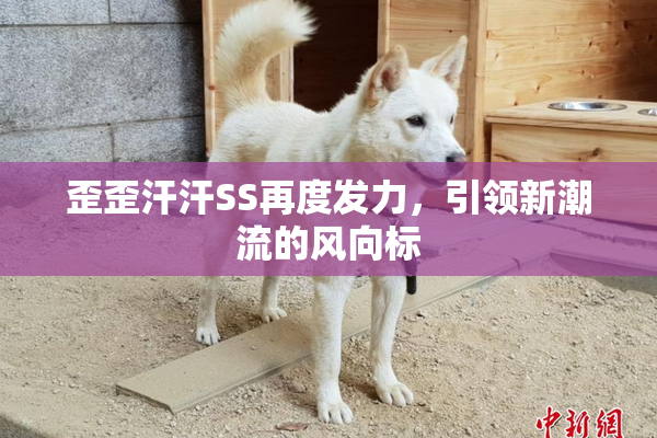 歪歪汗汗SS再度发力，引领新潮流的风向标