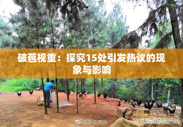 破苞视重：探究15处引发热议的现象与影响