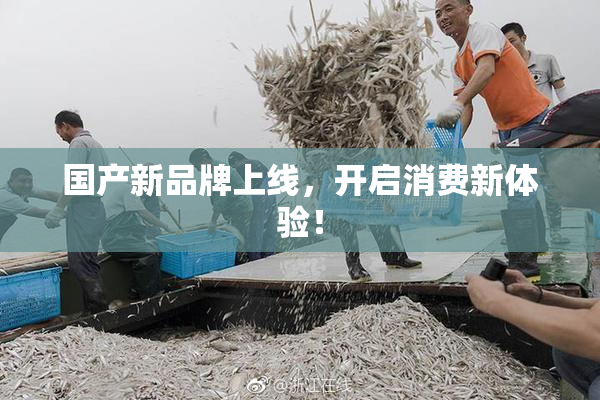 国产新品牌上线，开启消费新体验！
