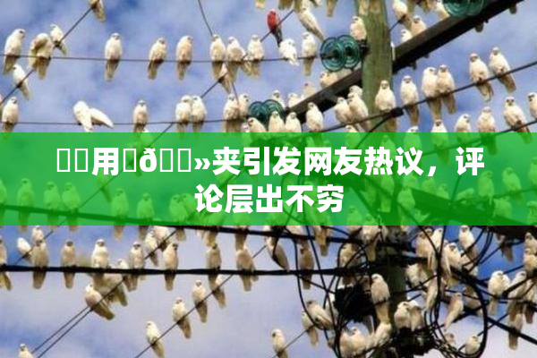 妺妺用‌🐻夹引发网友热议，评论层出不穷