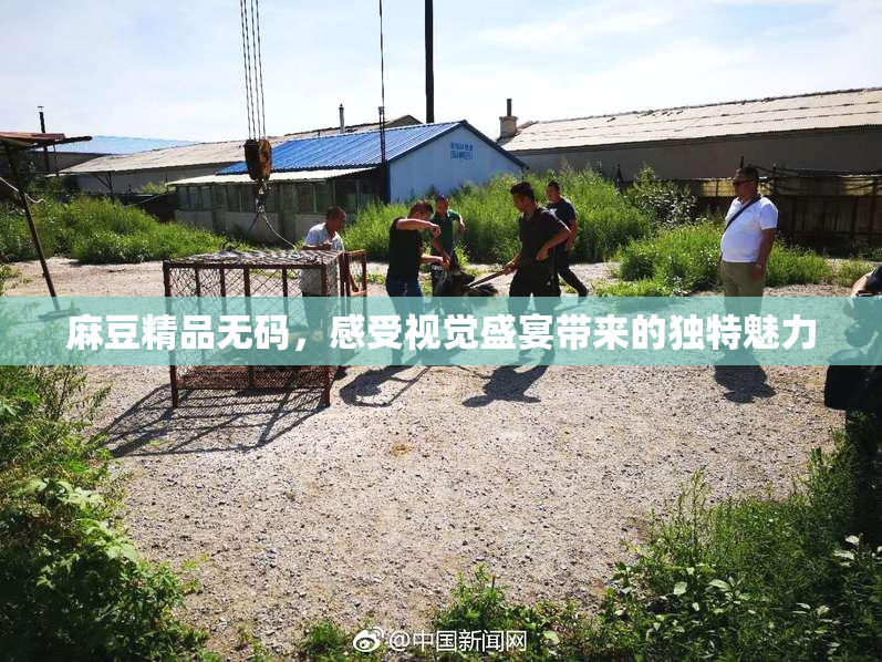 麻豆精品无码，感受视觉盛宴带来的独特魅力