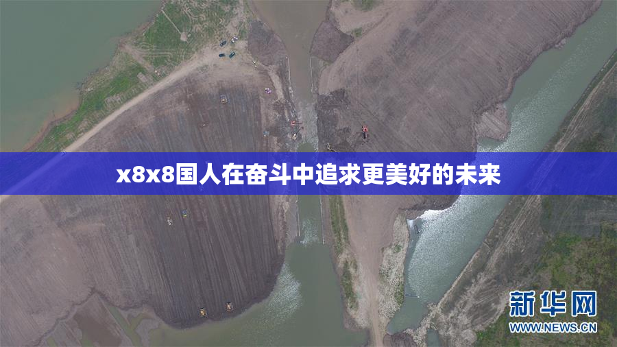 x8x8国人在奋斗中追求更美好的未来