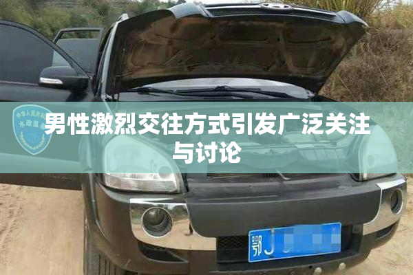 男性激烈交往方式引发广泛关注与讨论