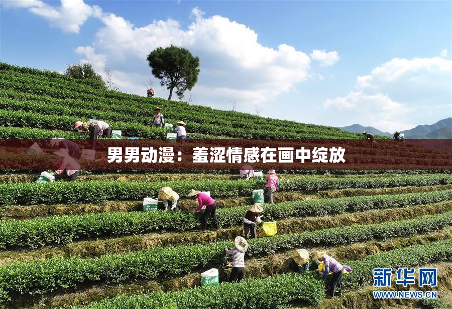 男男动漫：羞涩情感在画中绽放
