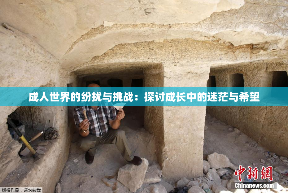 成人世界的纷扰与挑战：探讨成长中的迷茫与希望